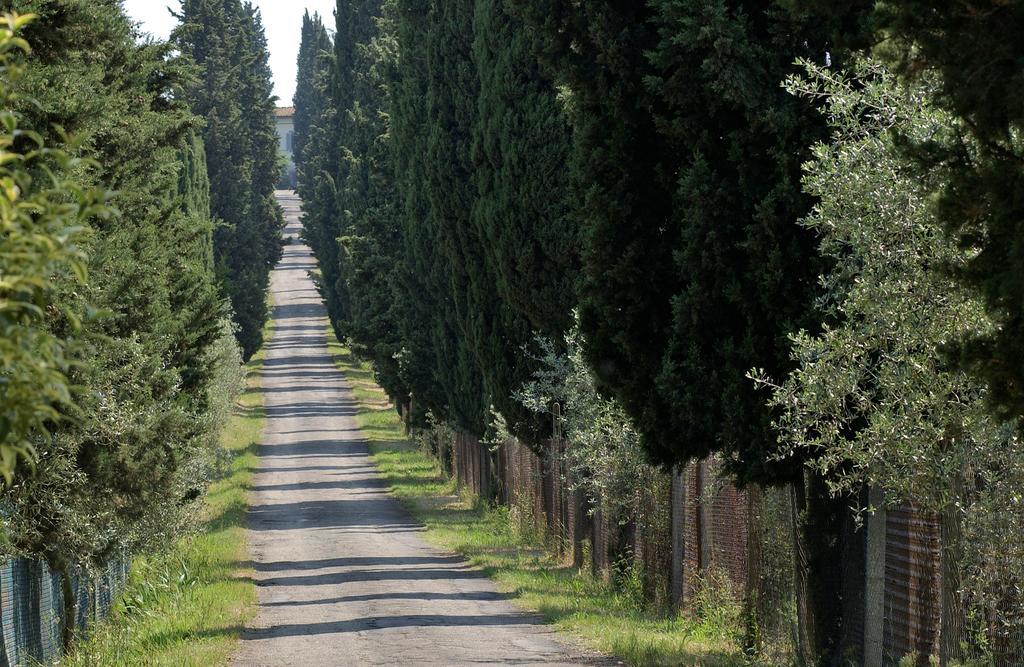 Agriturismo Poggio Arioso Διαμέρισμα Σκαντίτσι Εξωτερικό φωτογραφία