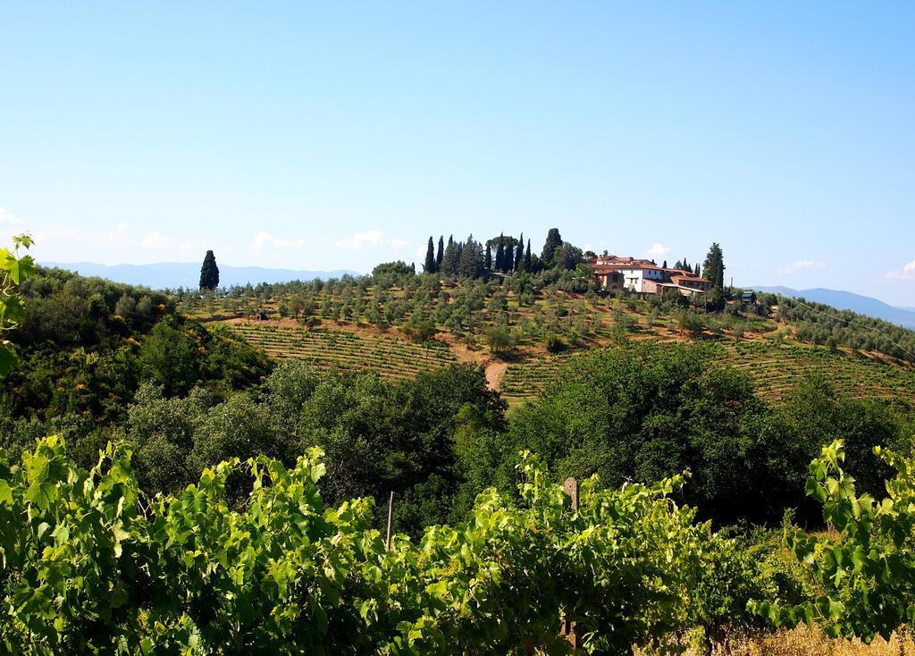 Agriturismo Poggio Arioso Διαμέρισμα Σκαντίτσι Εξωτερικό φωτογραφία